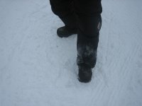 IMG_1410 (Large).JPG